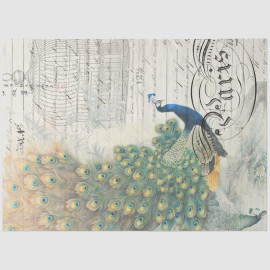 Peacock Ephemera-ontkoppelpapier Tissuepapier (Voorkant)