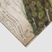 Peacock Ephemera Ontvapt weefsel Papierlandschap Tissuepapier (Detail)