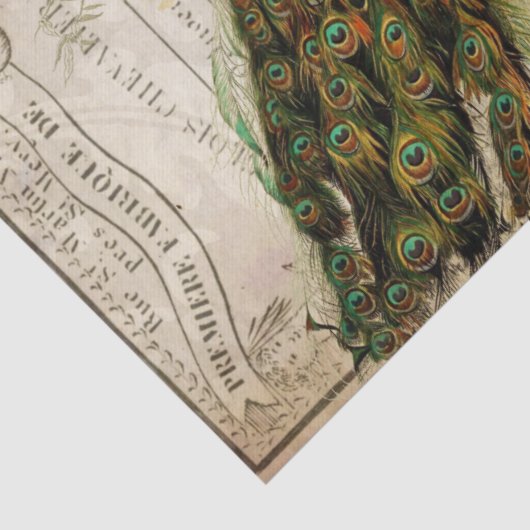 Peacock Ephemera Ontvapt weefsel Papierlandschap Tissuepapier (Detail)