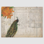 Peacock Ephemera Ontvapt weefsel Papierlandschap Tissuepapier (Voorkant)