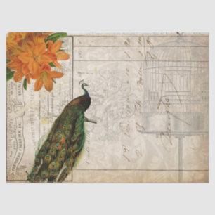 Peacock Ephemera Ontvapt weefsel Papierlandschap Tissuepapier