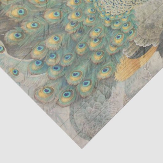 Peacock Ephemera - Scheidingspapier horizontaal Tissuepapier (Detail)