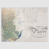 Peacock Ephemera - Scheidingspapier horizontaal Tissuepapier (Voorkant)