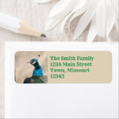 Peacock Etiket (Insitu)