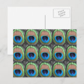 Peacock Eyes Briefkaart (Voorkant / Achterkant)