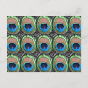 Peacock Eyes Briefkaart