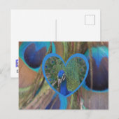 Peacock Face in Heart DIY Briefkaart (Voorkant / Achterkant)