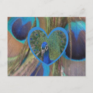 Peacock Face in Heart DIY Briefkaart
