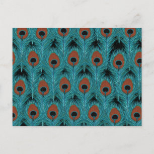 Peacock Feather Art Peacocks Feathers Artwork Briefkaart