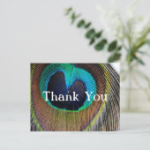 Peacock Feather Bedankt Post Kaarten (Staand voorkant)