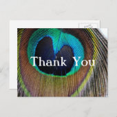 Peacock Feather Bedankt Post Kaarten (Voorkant / Achterkant)