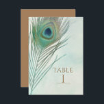 Peacock Feather Boho Chic Waterverf Table Number Kaart<br><div class="desc">Peacock Feather Boho Chic Waterverf Table Number Kaart. Zoek naar overeenkomende objecten in mijn winkel. Neem contact met mij op voor een aangepaste bestelling.</div>