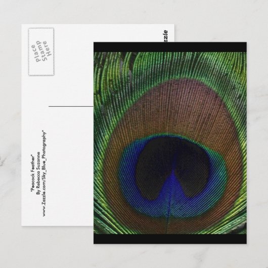 Peacock Feather Briefkaart (Voorkant / Achterkant)