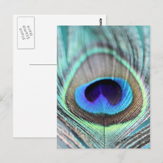 Peacock Feather Briefkaart (Voorkant / Achterkant)
