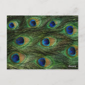 Peacock Feather Bruiloft Tafel Zitnummer Briefkaart (Achterkant)