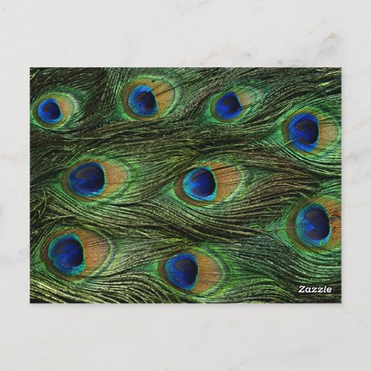 Peacock Feather Bruiloft Tafel Zitnummer Briefkaart (Achterkant)