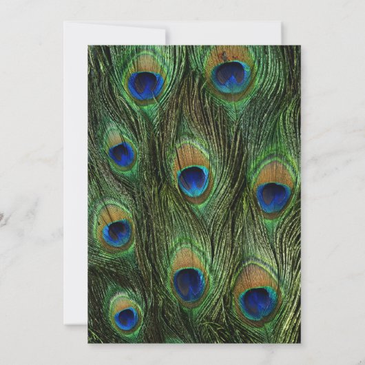 Peacock Feather bruiloft uitnodiging (Achterkant)