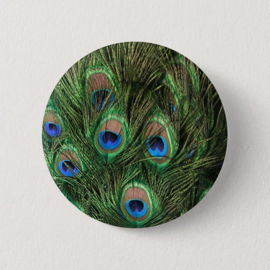 Peacock Feather Button (Voorkant)