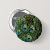 Peacock Feather Button (Voorkant /achterkant)