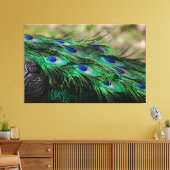 Peacock Feather Canvas Afdruk (Insitu (Woonkamer))