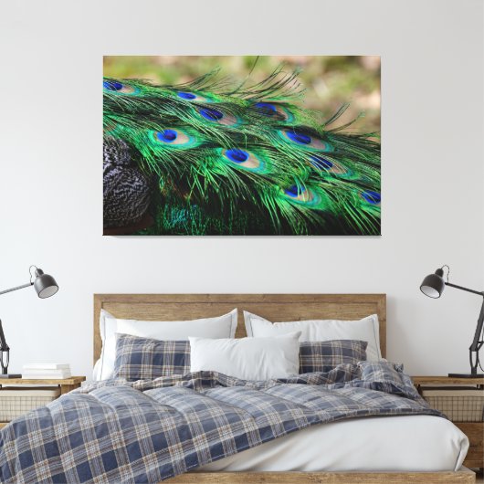 Peacock Feather Canvas Afdruk (Insitu (Slaapkamer))