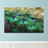 Peacock Feather Canvas Afdruk (Insitu (Houten vloer))