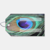 Peacock Feather Celebrate Cards Custom Gift Labels Cadeaulabel (Achterkant Horizontaal)