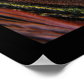 Peacock Feather Close-up Poster (Hoek)