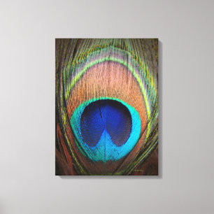 Peacock Feather Detail Decor Art Canvas Afdruk
