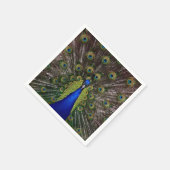 Peacock Feather Display Foto Servet (Hoek)