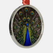 Peacock Feather Display Photo Metalen Ornament (Rechts)