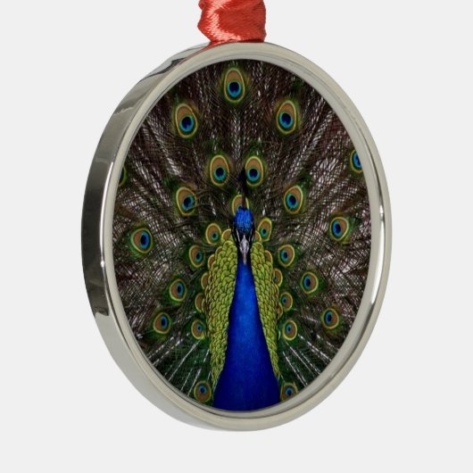 Peacock Feather Display Photo Metalen Ornament (Rechts)