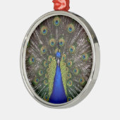 Peacock Feather Display Photo Metalen Ornament (Links)