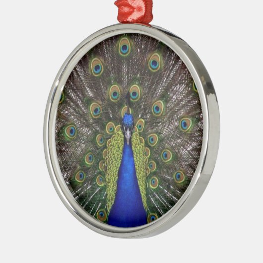 Peacock Feather Display Photo Metalen Ornament (Links)