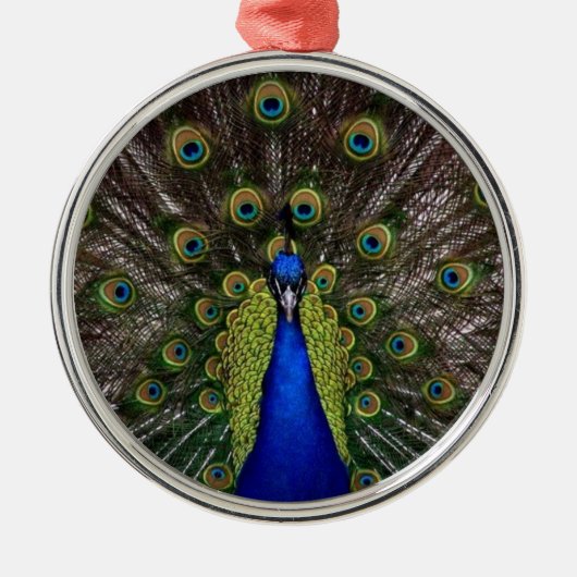 Peacock Feather Display Photo Metalen Ornament (Voorkant)