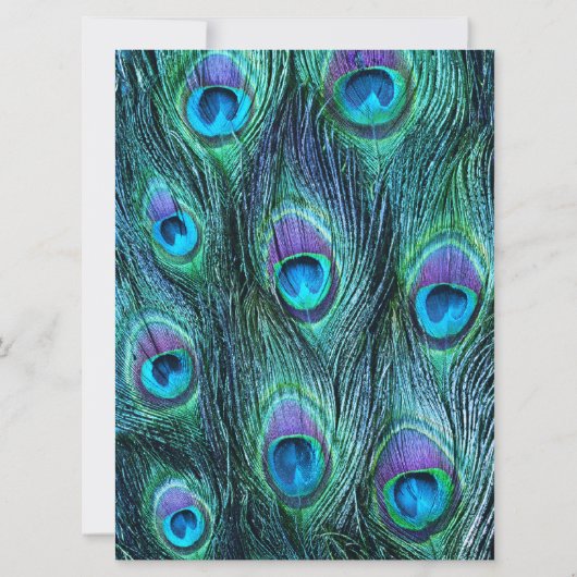 Peacock Feather Drama 6.5 "x 8 bruiloft uitnodigin Kaart (Achterkant)