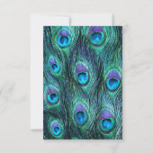 Peacock Feather Drama bruiloft uitnodiging - RSVP (Achterkant)