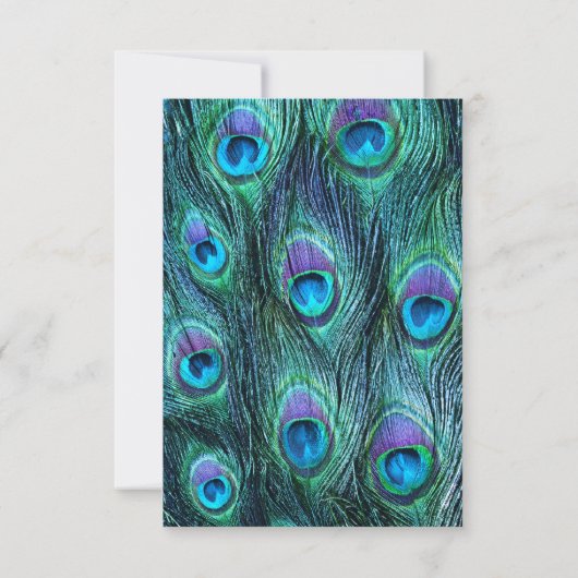 Peacock Feather Drama bruiloft uitnodiging - RSVP (Achterkant)