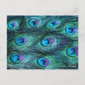 Peacock Feather Drama - Tafelzitnummer Briefkaart (Achterkant)