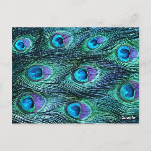 Peacock Feather Drama - Tafelzitnummer Briefkaart (Achterkant)