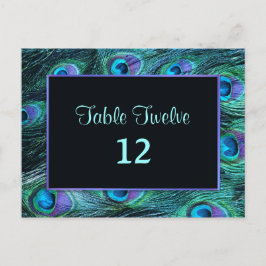 Peacock Feather Drama - Tafelzitnummer Briefkaart