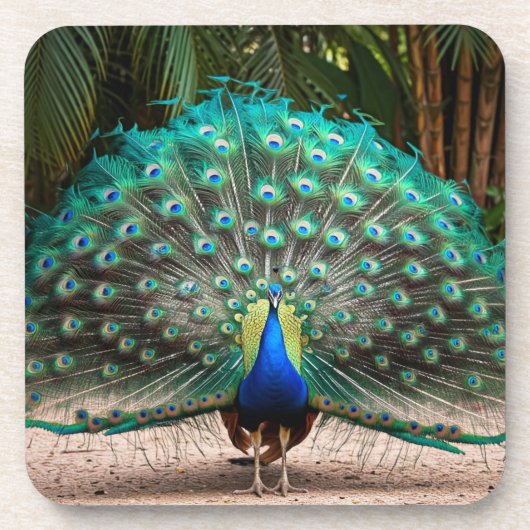 Peacock Feather Fanning Bier Onderzetter (Voorkant)