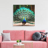 Peacock Feather Fanning Canvas Afdruk (Insitu (Woonkamer))