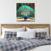 Peacock Feather Fanning Canvas Afdruk (Insitu (Slaapkamer))