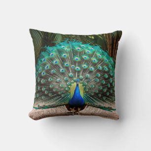 Peacock Feather Fanning Kussen