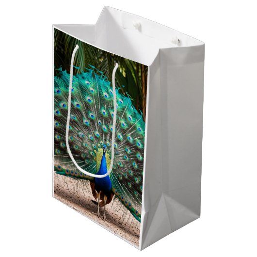 Peacock Feather Fanning Medium Cadeauzakje (Voorkant Gekanteld)