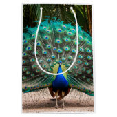 Peacock Feather Fanning Medium Cadeauzakje (Voorkant)