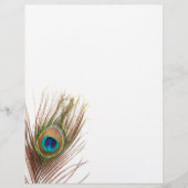 Peacock Feather Flyers (Voorkant)