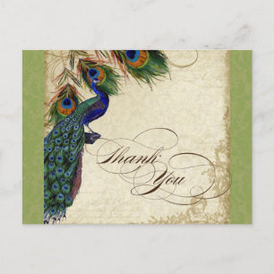 Peacock & Feather Formal Bedankt Opmerking Lime Gr Briefkaart