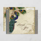 Peacock & Feather Formeel Dank u Opmerking Zilver Briefkaart (Voorkant / Achterkant)